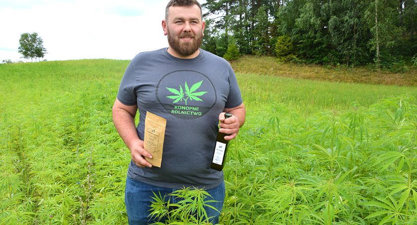 Zdjęcie plantacja konopi Rabacino
