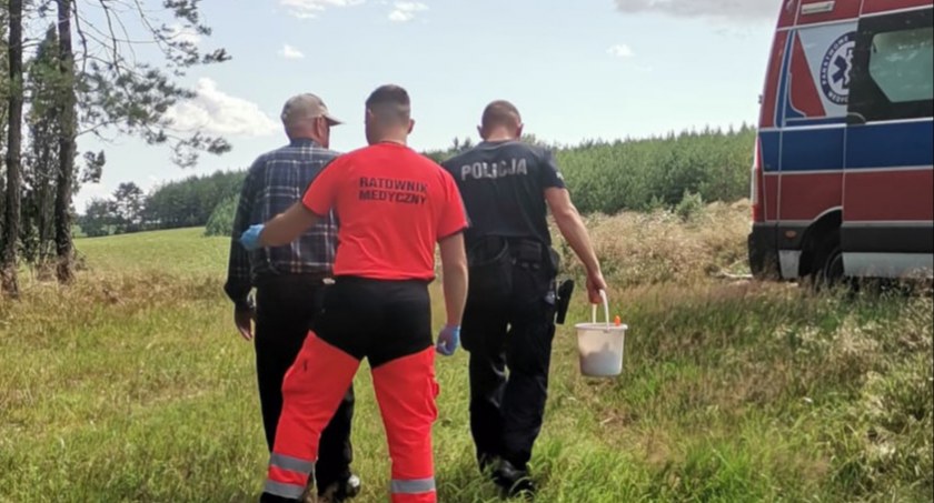 Na bieżąco, Grzybiarz upadł lesie Potrzebna była pomoc ratowników medycznych - zdjęcie, fotografia