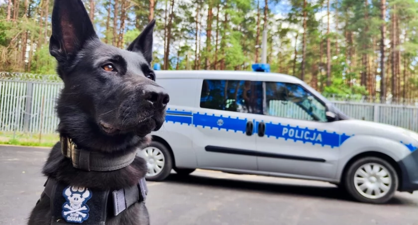 Foto: KPP Bytów