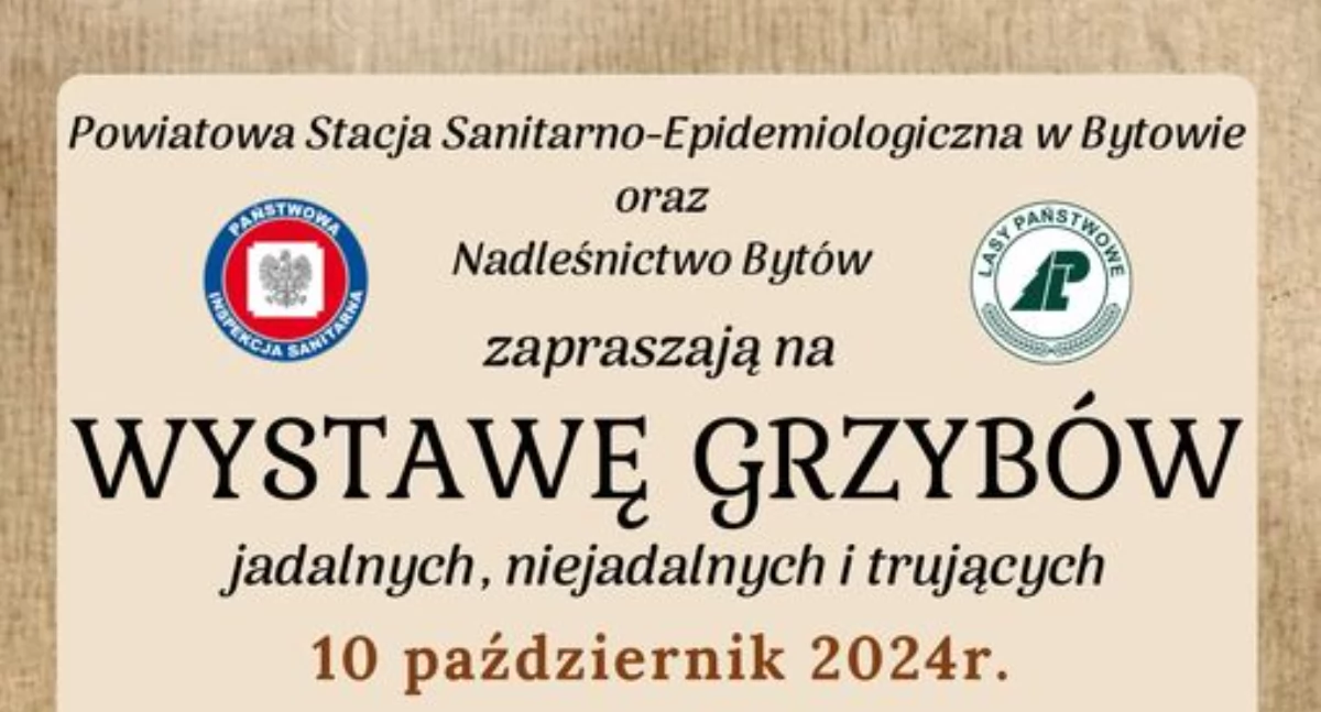 Foto: organizator