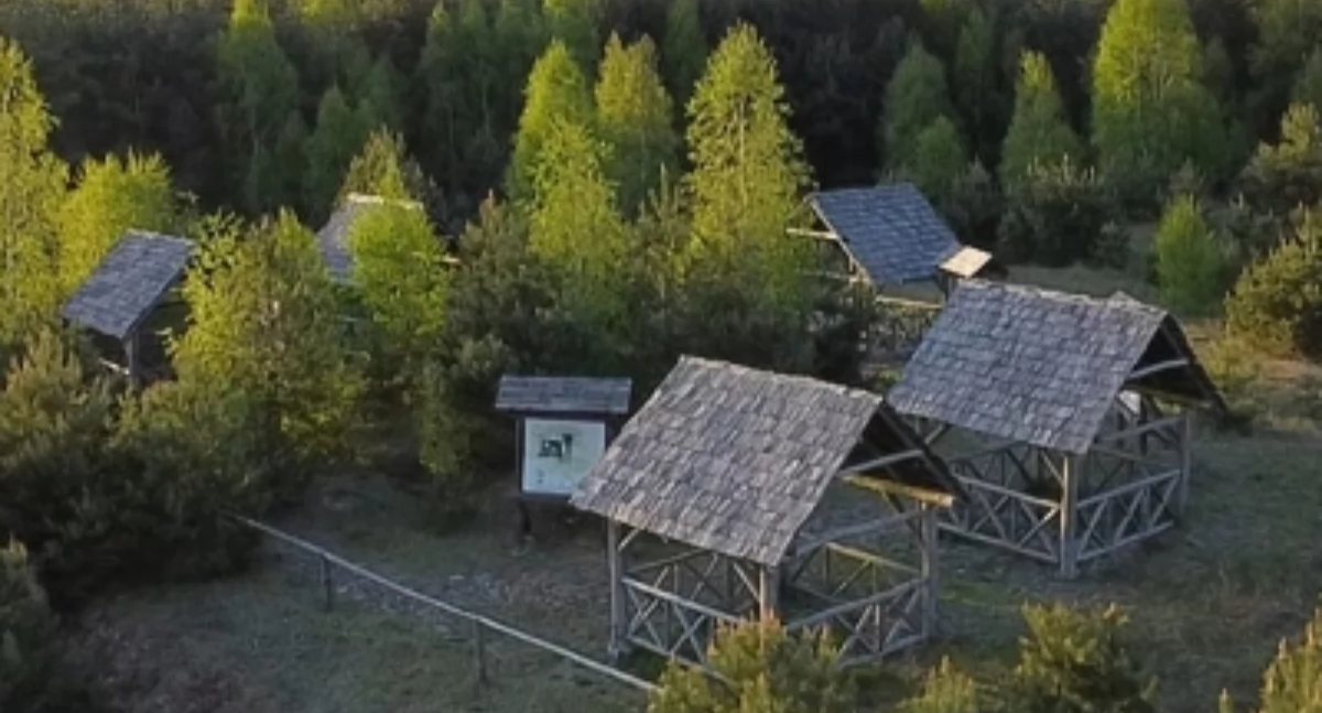 Zapowiedzi, Spotkanie historią Pomorza Trzebiatkowej - zdjęcie, fotografia