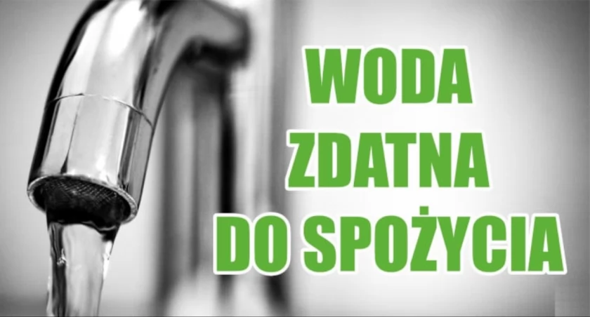 zdjęcie podglądowe