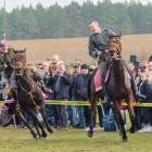 zdjęcie nr 99