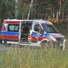 zdjęcie nr 16