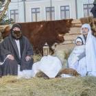 zdjęcie nr 36