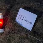 zdjęcie nr 21