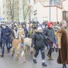 zdjęcie nr 11