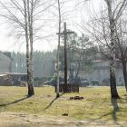 Fotka nr 5 z 7