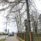zdjęcie nr 8