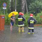 Fotka nr 3 z 11