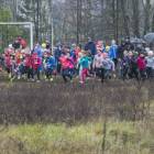 zdjęcie nr 83