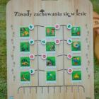 zdjęcie nr 11
