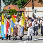 zdjęcie nr 11