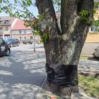 zdjęcie nr 7