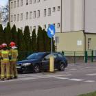 Fotka nr 1 z 7