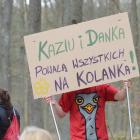 zdjęcie nr 28