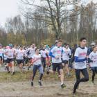 zdjęcie nr 28