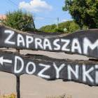 zdjęcie nr 7