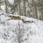 Fotka nr 1 z 2