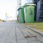 zdjęcie nr 7