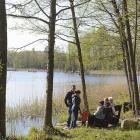 zdjęcie nr 33