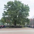 zdjęcie nr 28
