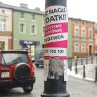 zdjęcie nr 9