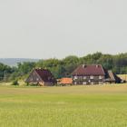 Fotka nr 4 z 8