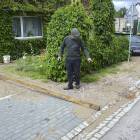Fotka nr 1 z 5