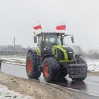 zdjęcie nr 11