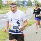 zdjęcie nr 305