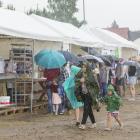 zdjęcie nr 16