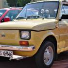 zdjęcie nr 55