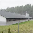 zdjęcie nr 8