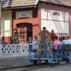 zdjęcie nr 8