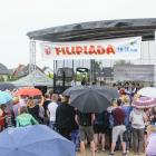 zdjęcie nr 11