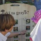 zdjęcie nr 22
