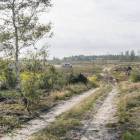 zdjęcie nr 68