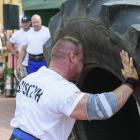 zdjęcie nr 90