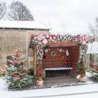 zdjęcie nr 66