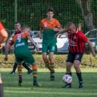 zdjęcie nr 19