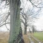 zdjęcie nr 7