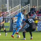 zdjęcie nr 17