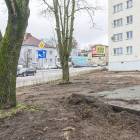 zdjęcie nr 14