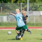 zdjęcie nr 103