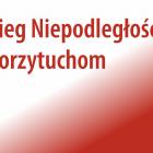 zdjęcie nr 90