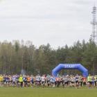 zdjęcie nr 10