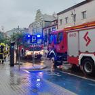 Fotka nr 5 z 21