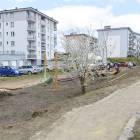 zdjęcie nr 8