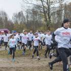 zdjęcie nr 33